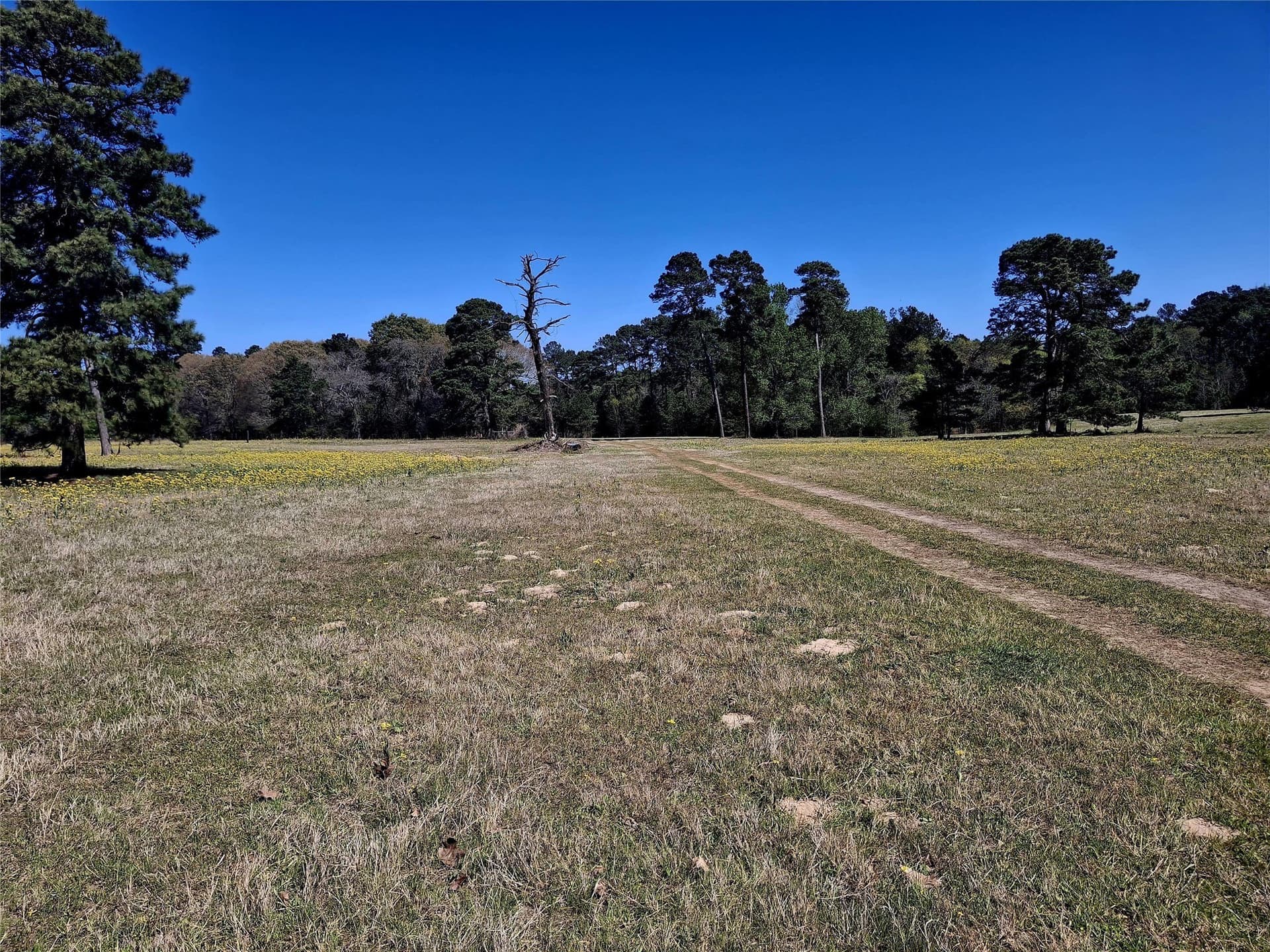 68.82 acres in Cherokee County - photo 8