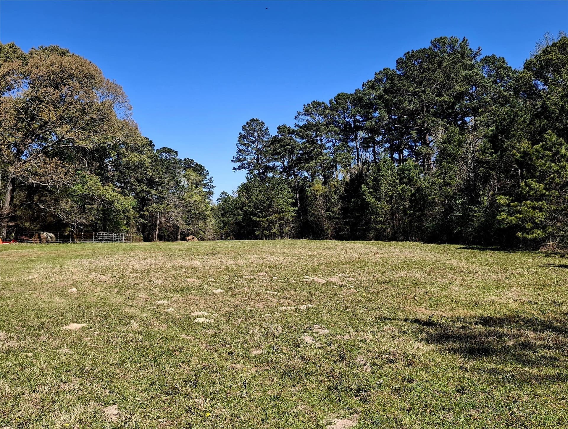 68.82 acres in Cherokee County - photo 11