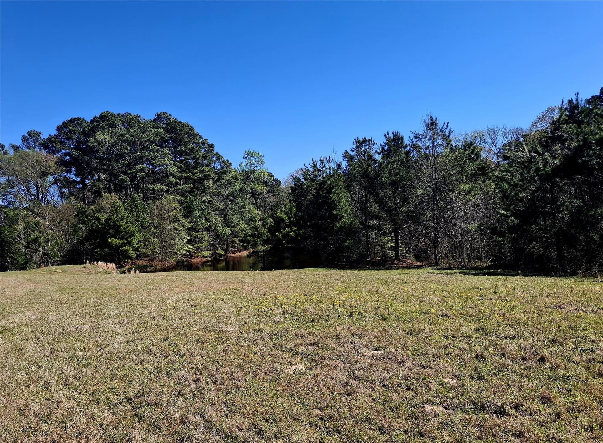 68.82 acres in Cherokee County - photo 9
