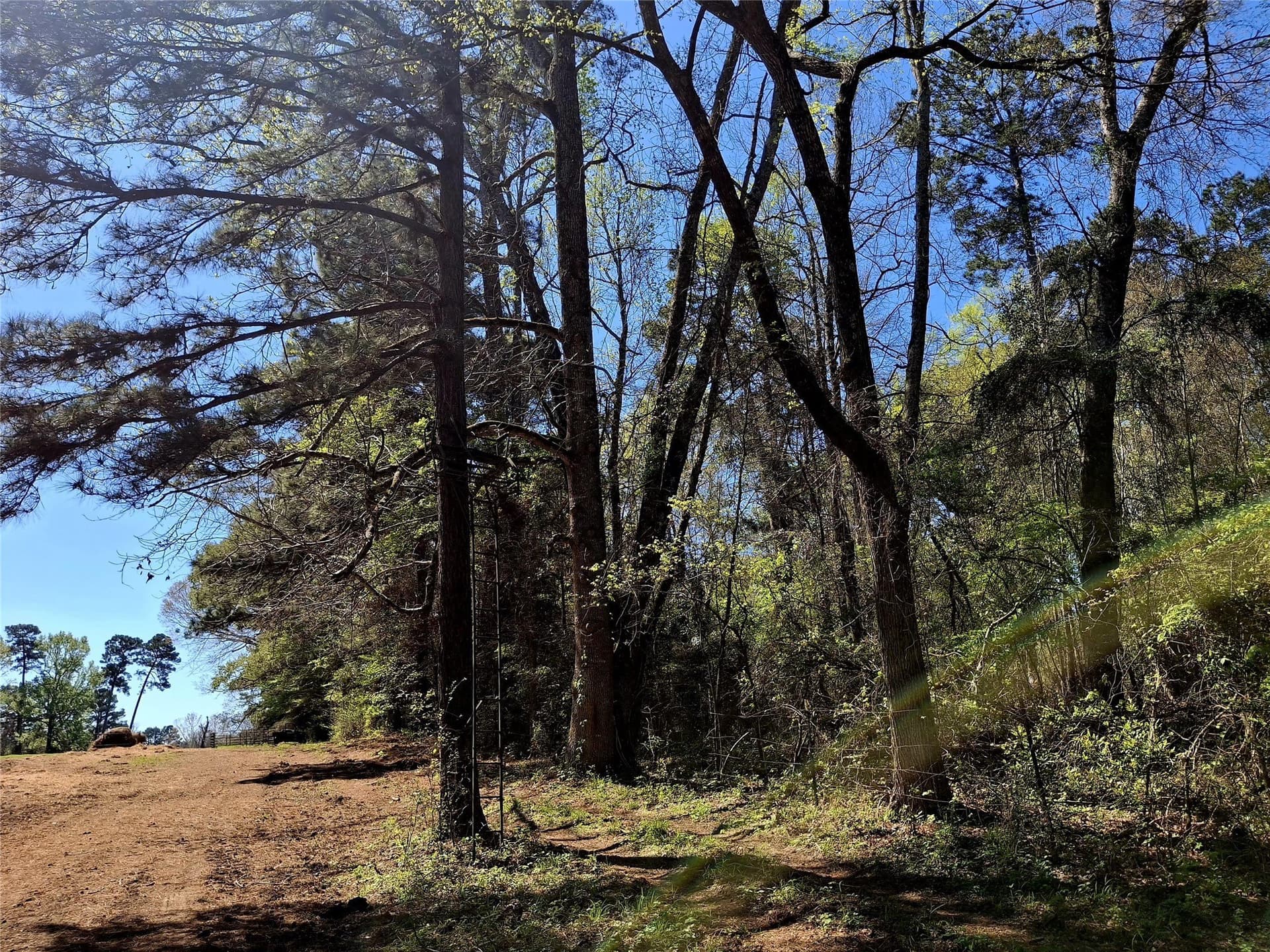 68.82 acres in Cherokee County - photo 12