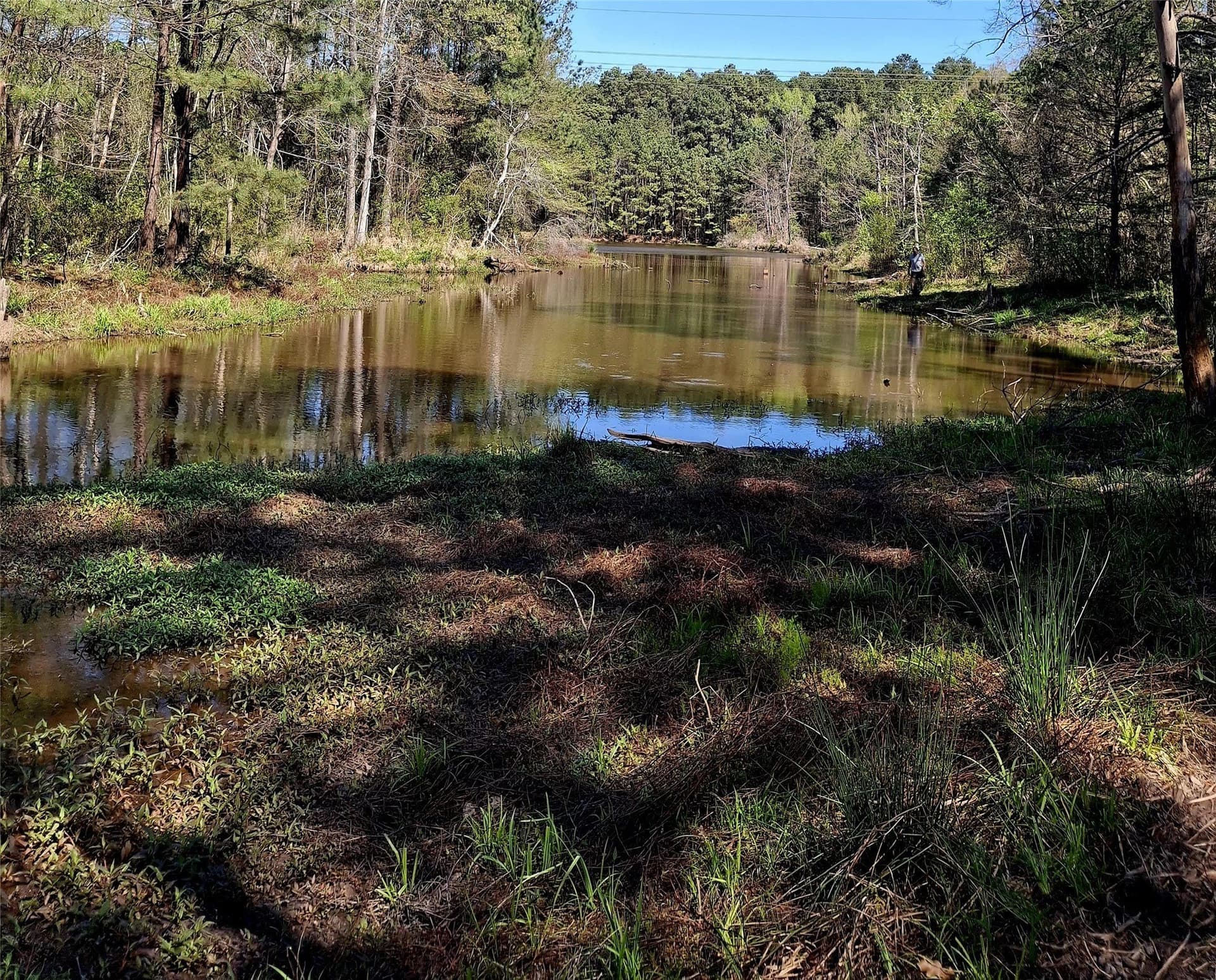 68.82 acres in Cherokee County - photo 13