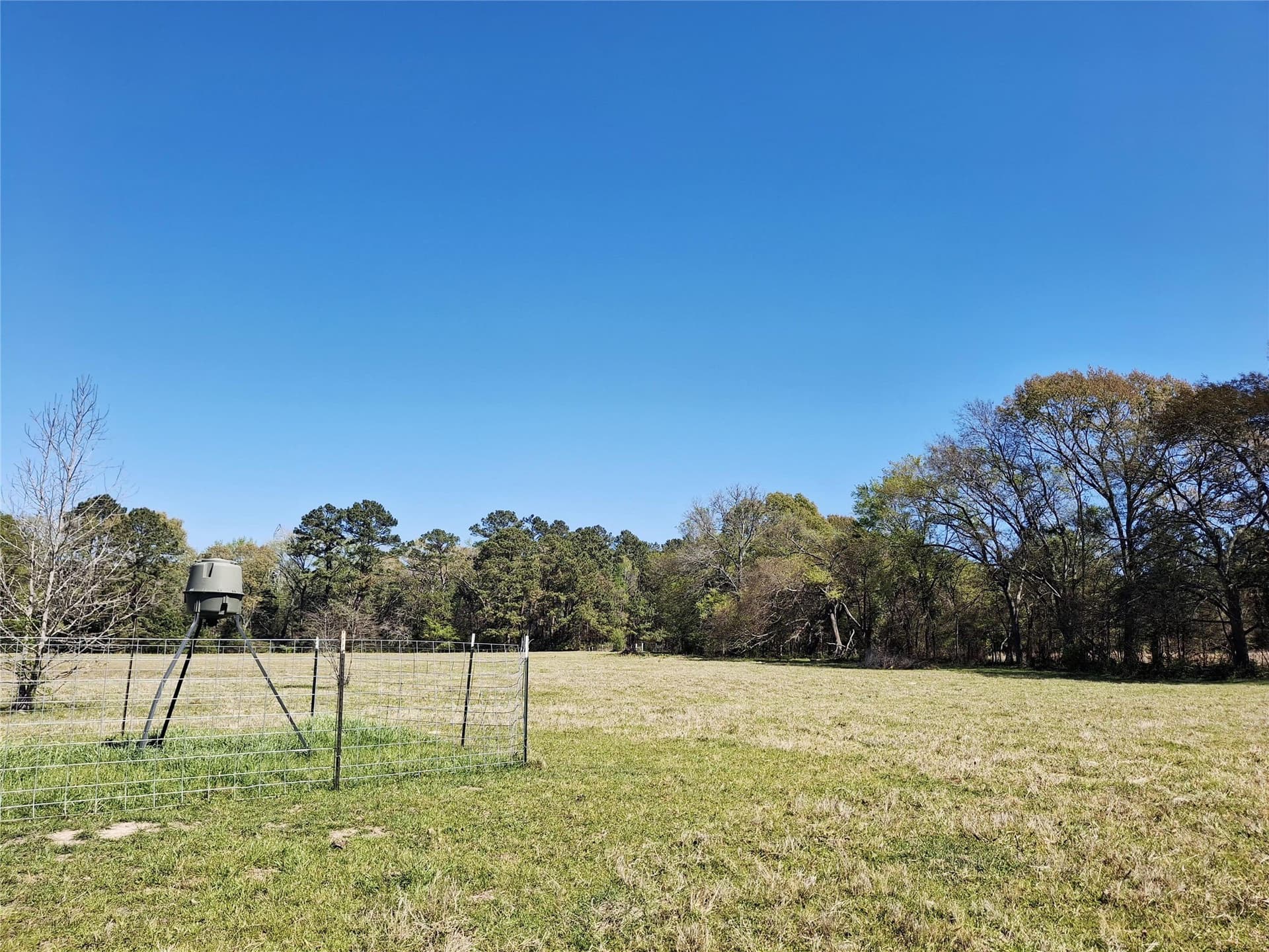 68.82 acres in Cherokee County - photo 14