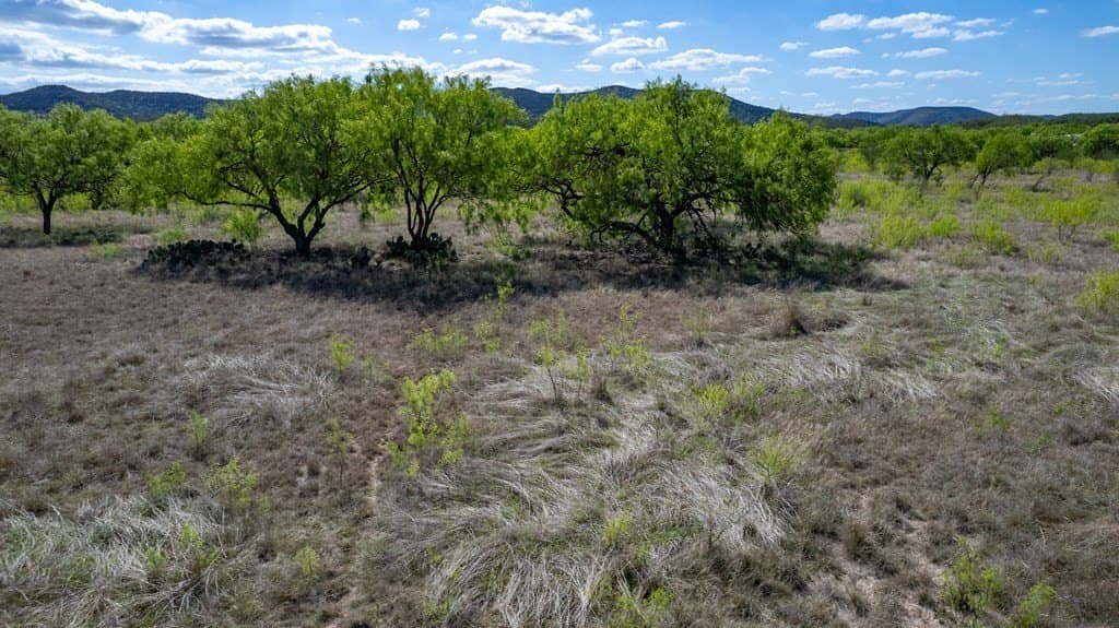 5.01 acres in Real County - photo 22