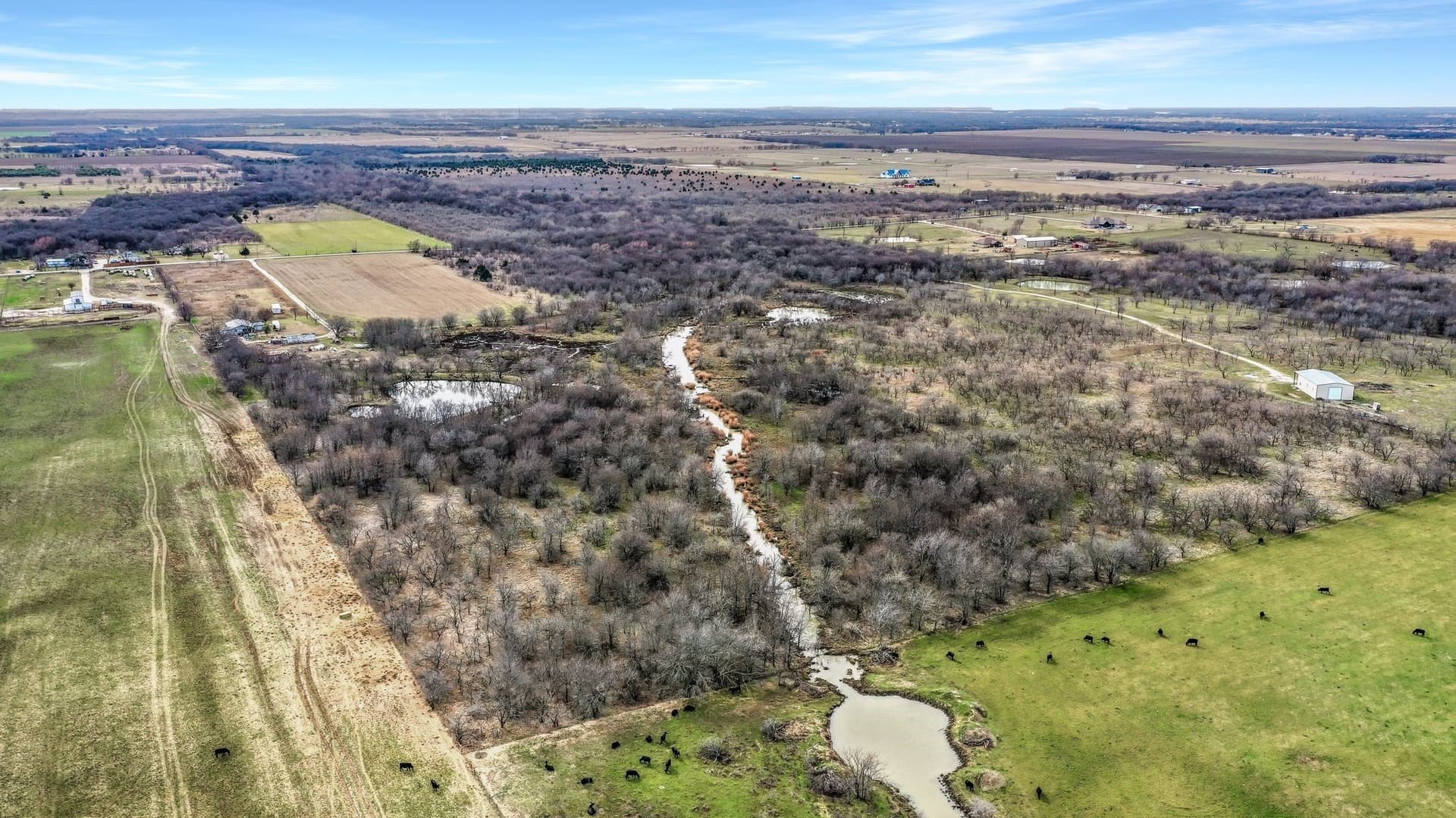 19.93 acres in Grayson County - photo 14