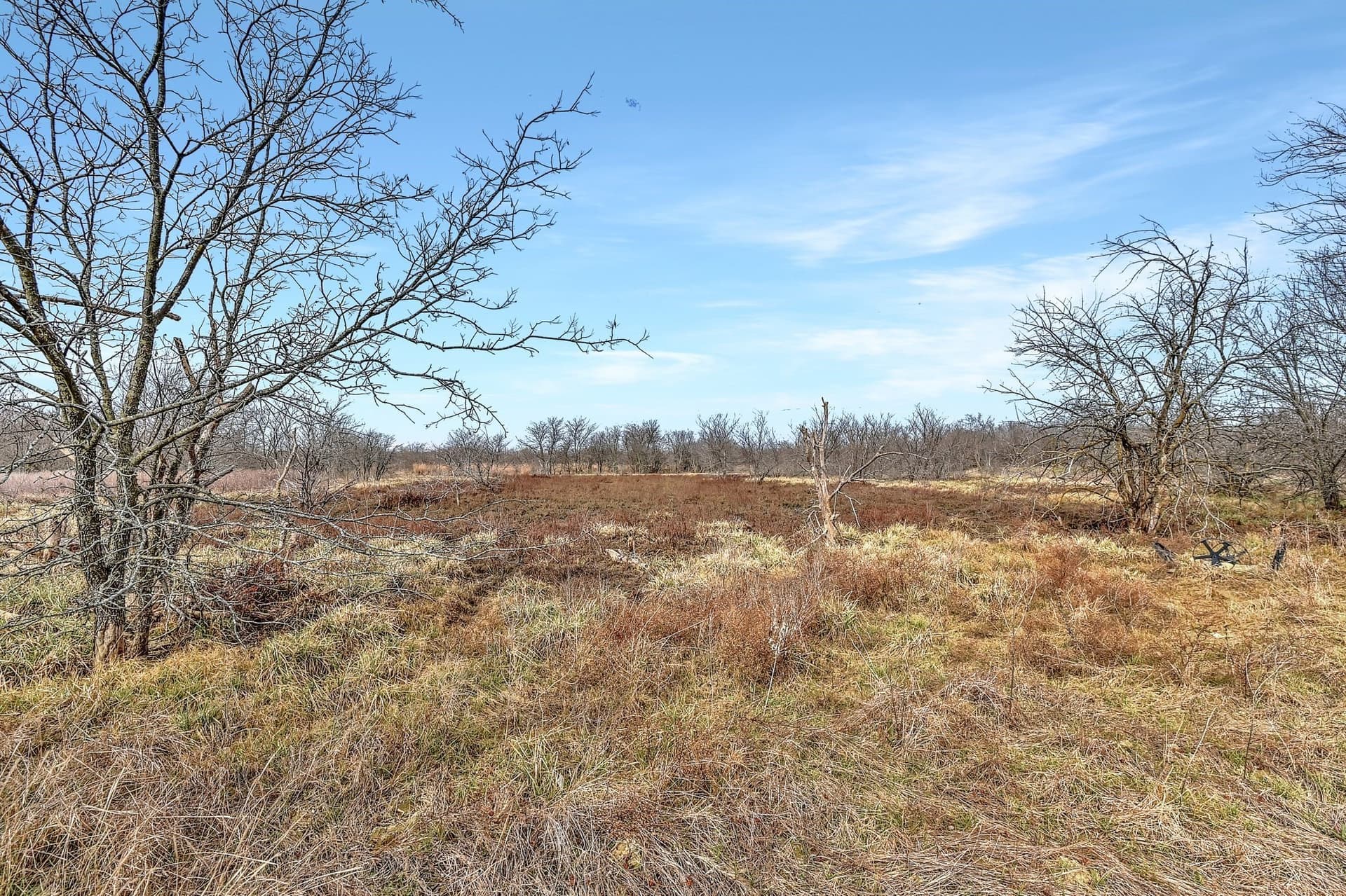 19.93 acres in Grayson County - photo 26