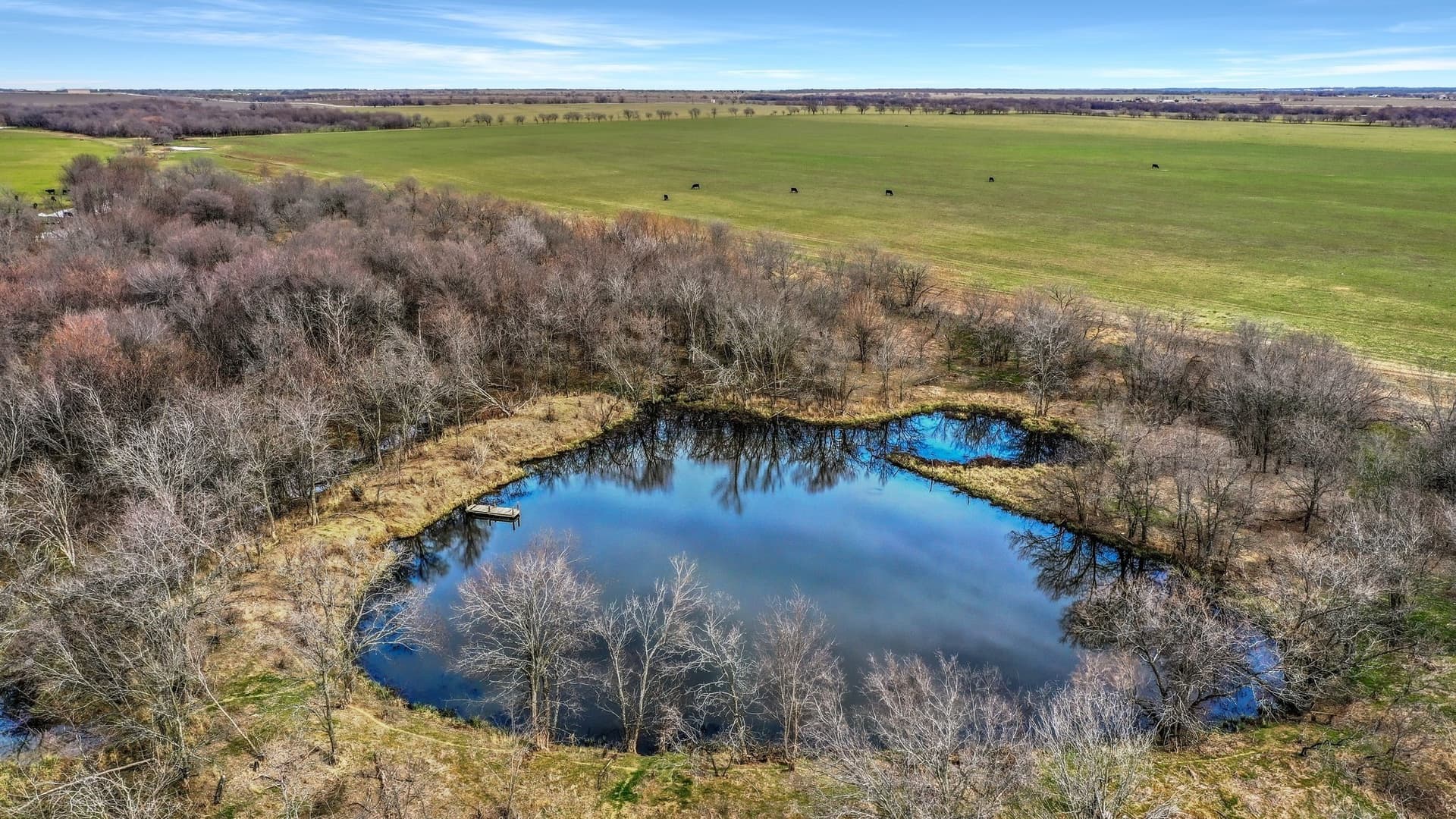 19.93 acres in Grayson County