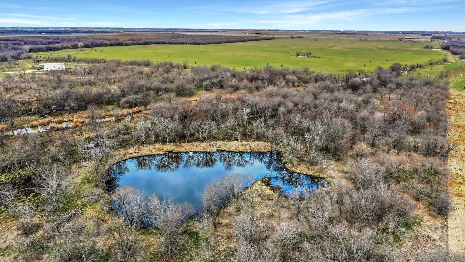 19.93 acres in Grayson County - photo 13