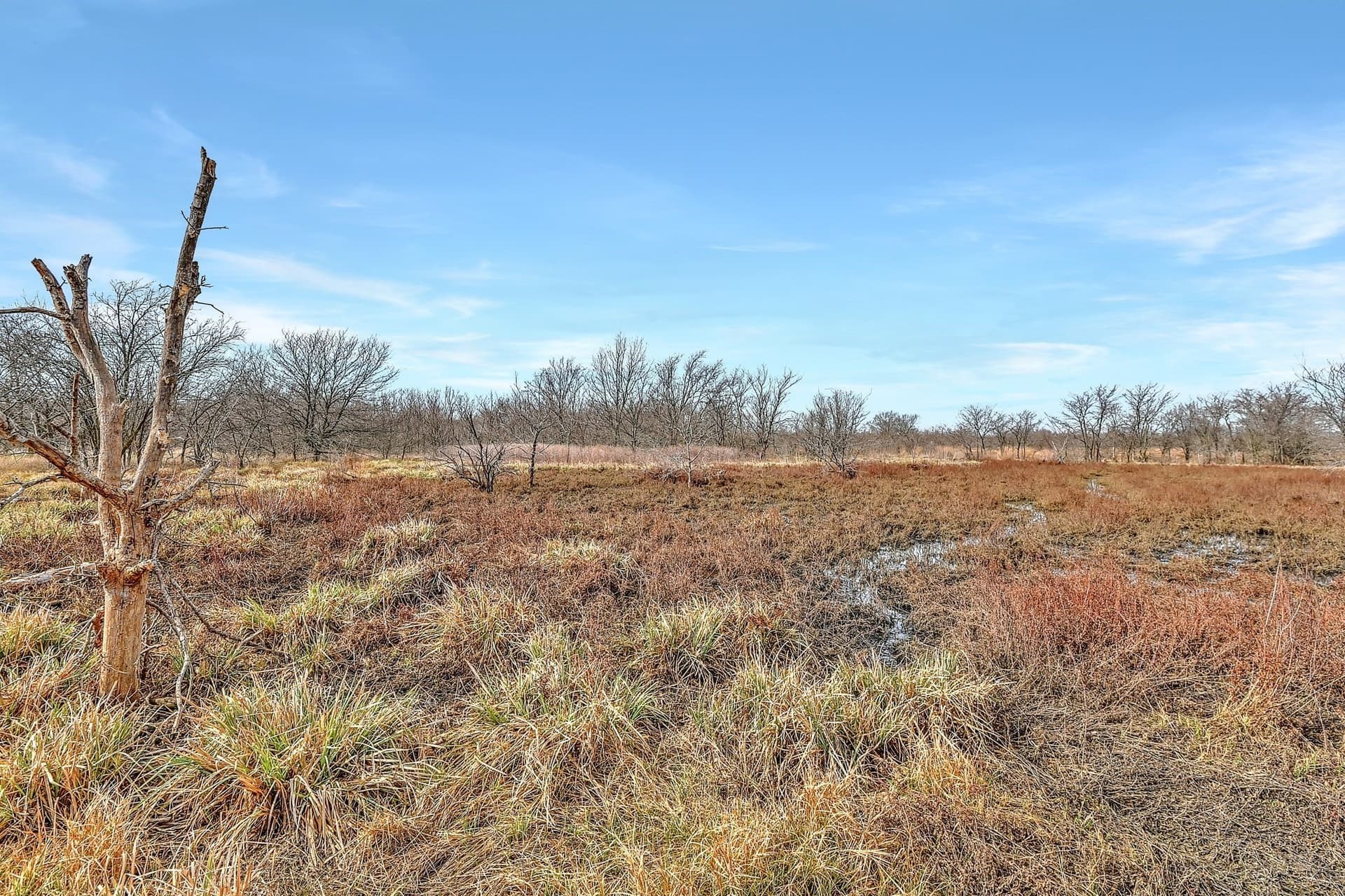 19.93 acres in Grayson County - photo 27