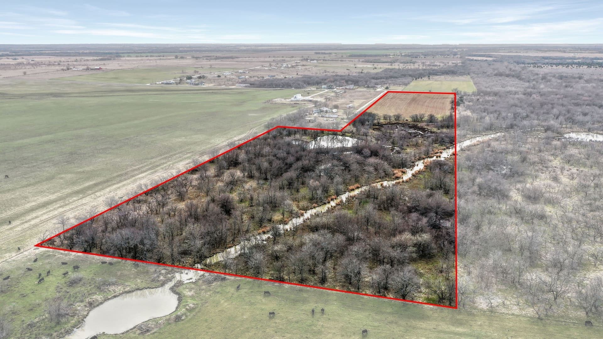 19.93 acres in Grayson County - photo 4