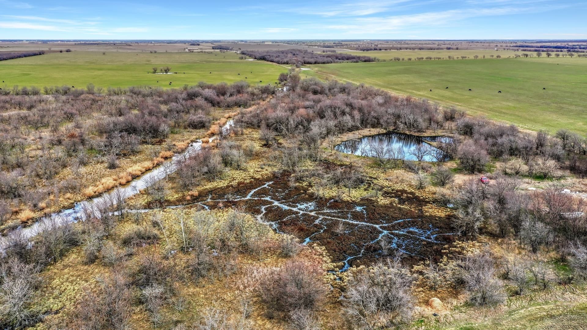 19.93 acres in Grayson County - photo 12