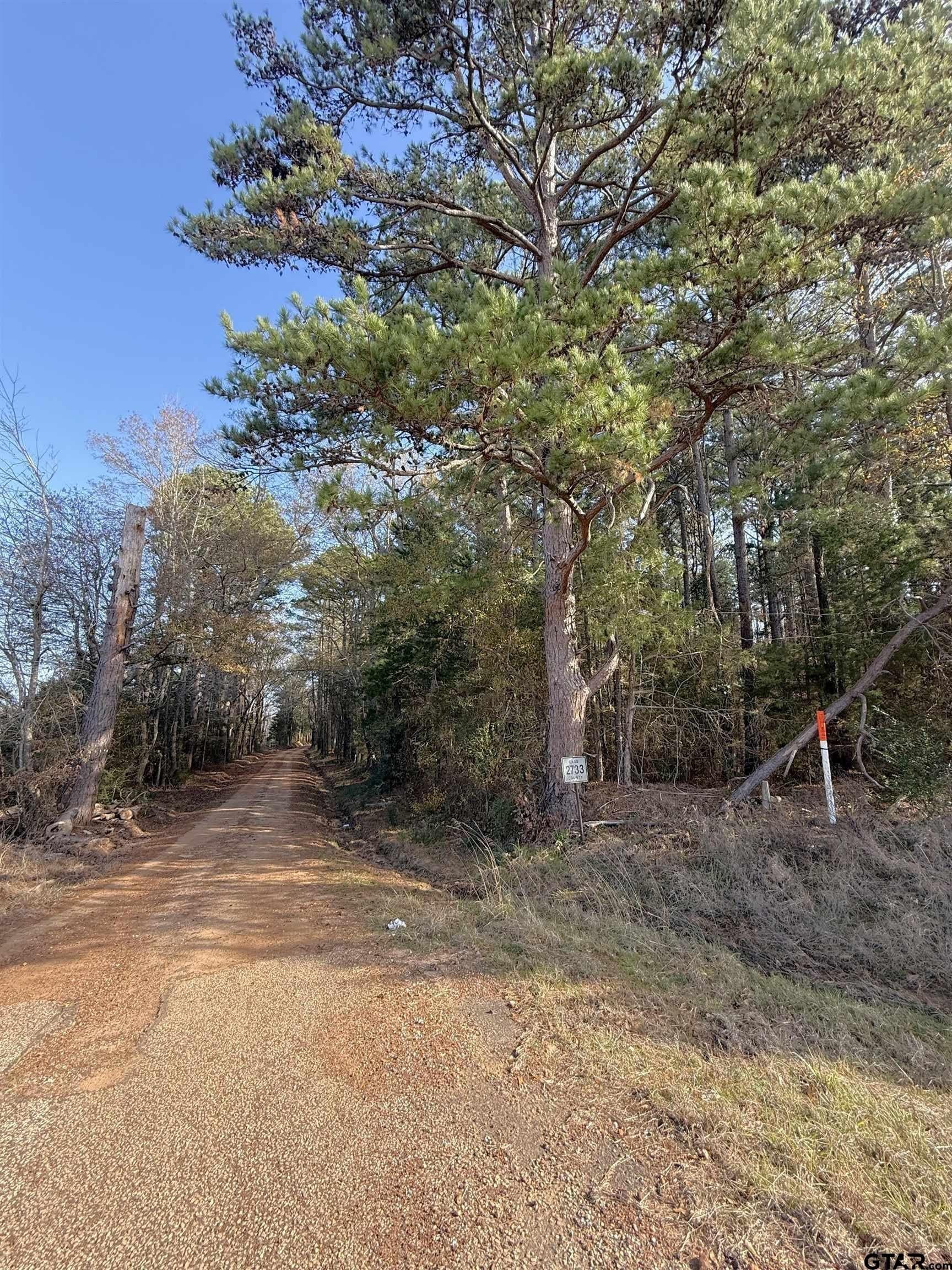 11 acres in Cass County gallery image 4