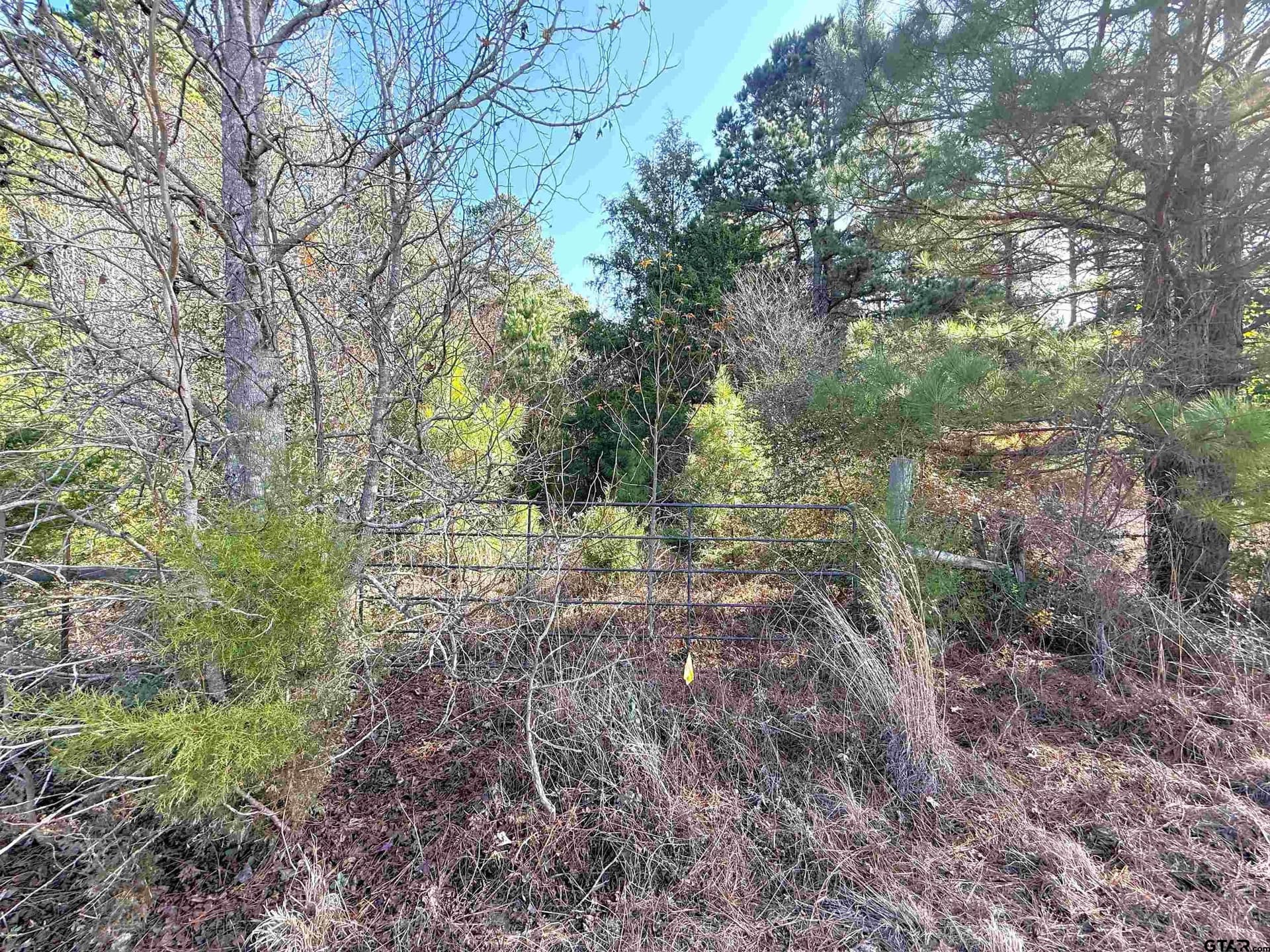 11 acres in Cass County gallery image 3