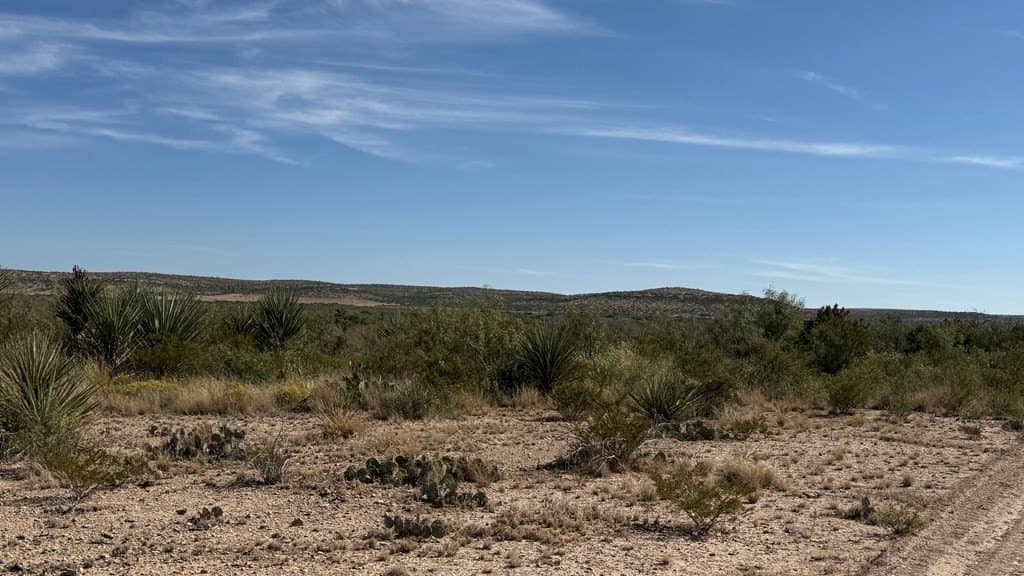 409.2 acres in Pecos County - photo 42
