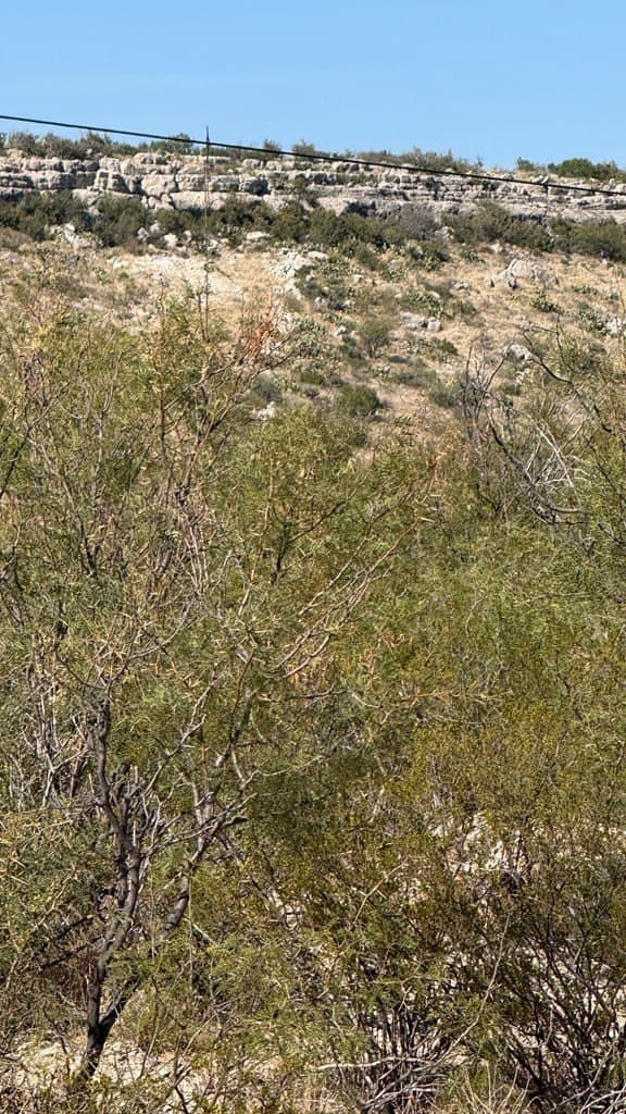 409.2 acres in Pecos County - photo 52