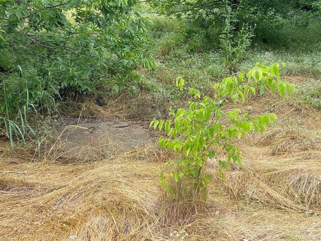 6.77 acres in Wise County gallery image 3