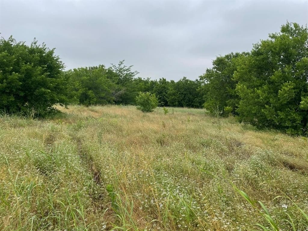 6.77 acres in Wise County gallery image 2