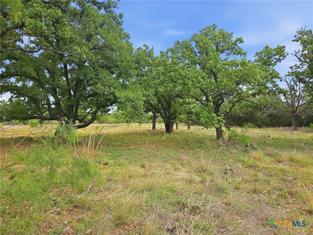 20.02 acres in Hamilton County - photo 6