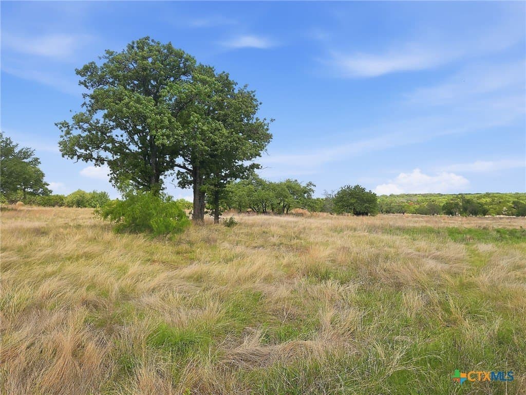 20.02 acres in Hamilton County gallery image 4