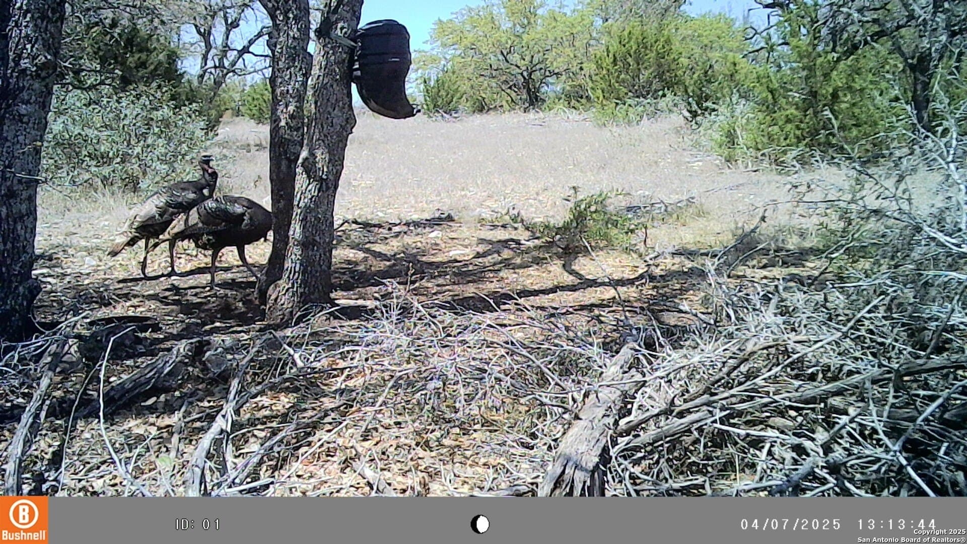 19.19 acres in Kimble County - photo 21