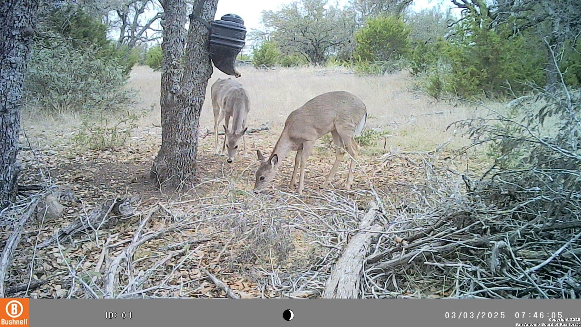 19.19 acres in Kimble County - photo 18