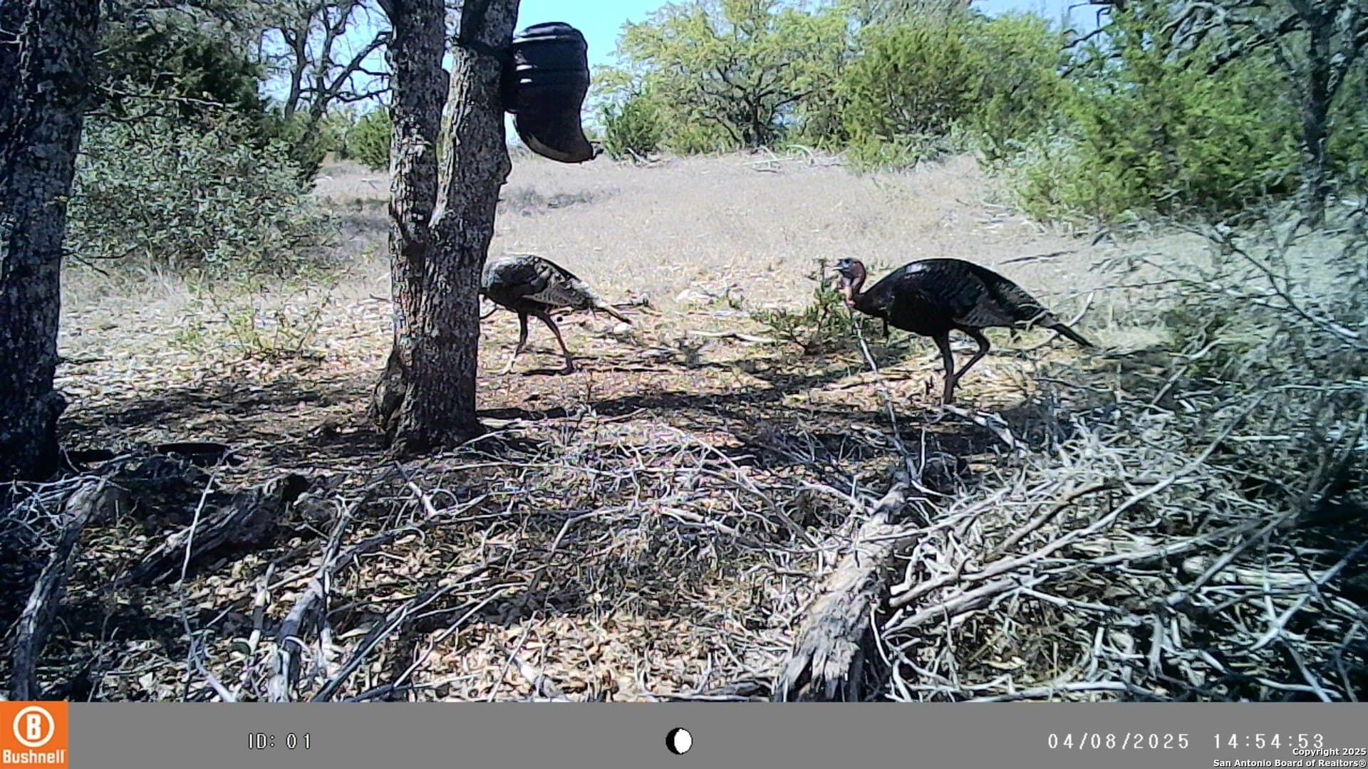 19.19 acres in Kimble County - photo 22