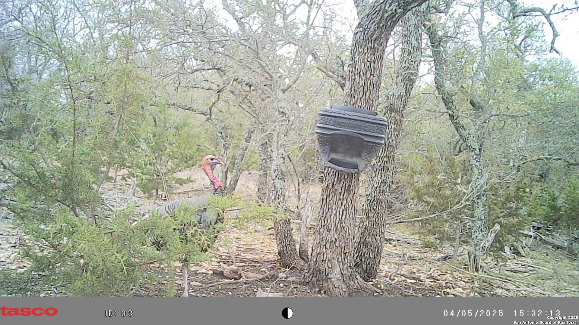 19.19 acres in Kimble County - photo 19