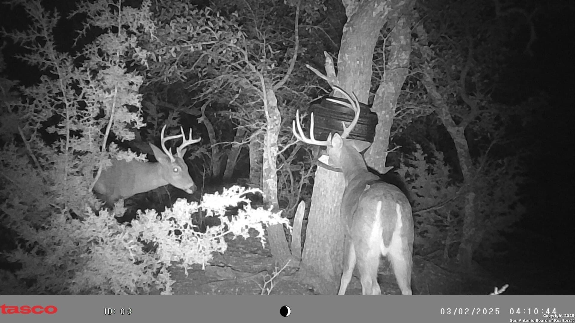 19.19 acres in Kimble County - photo 17