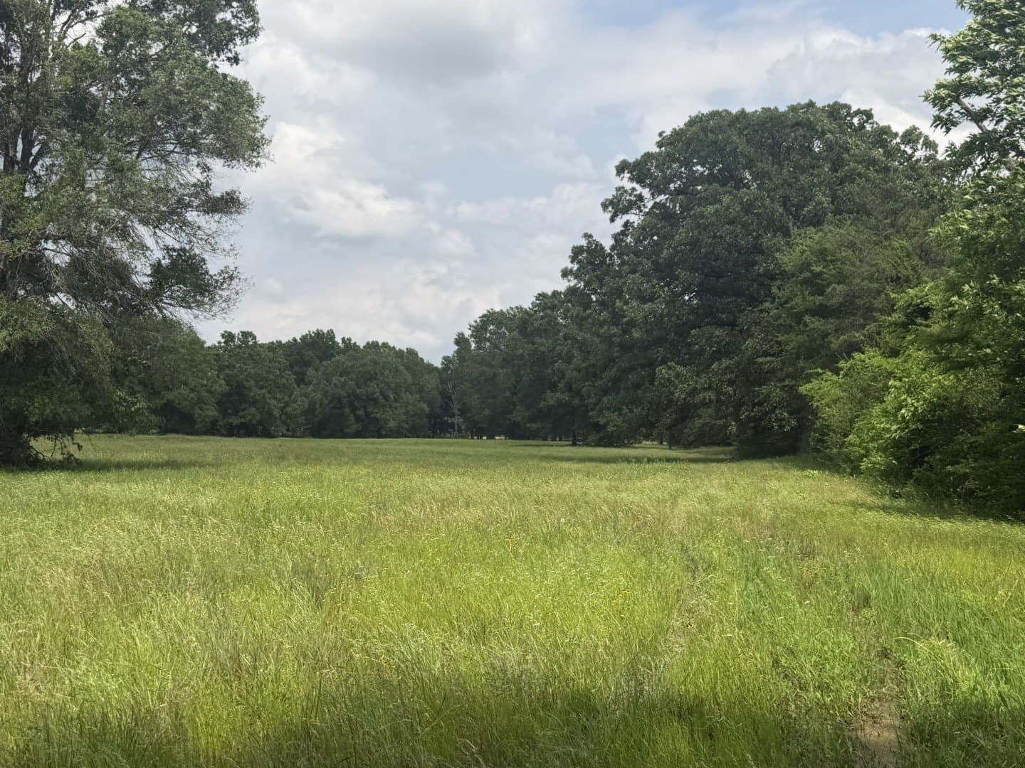 49.02 acres in Titus County - photo 35