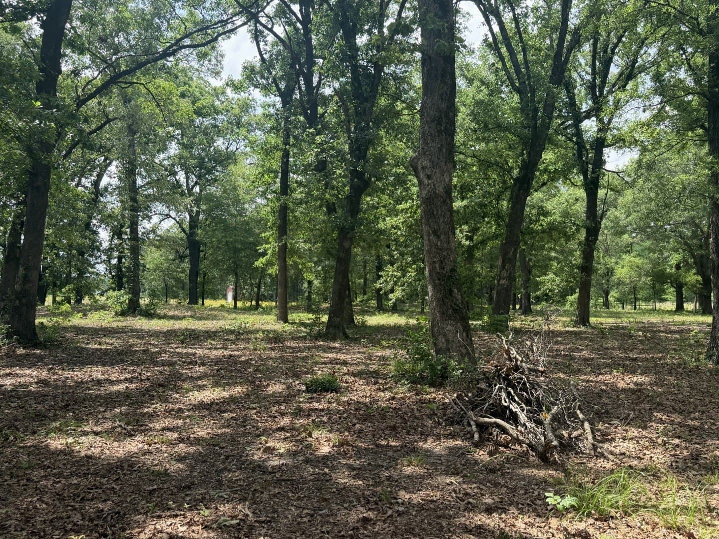 49.02 acres in Titus County - photo 32