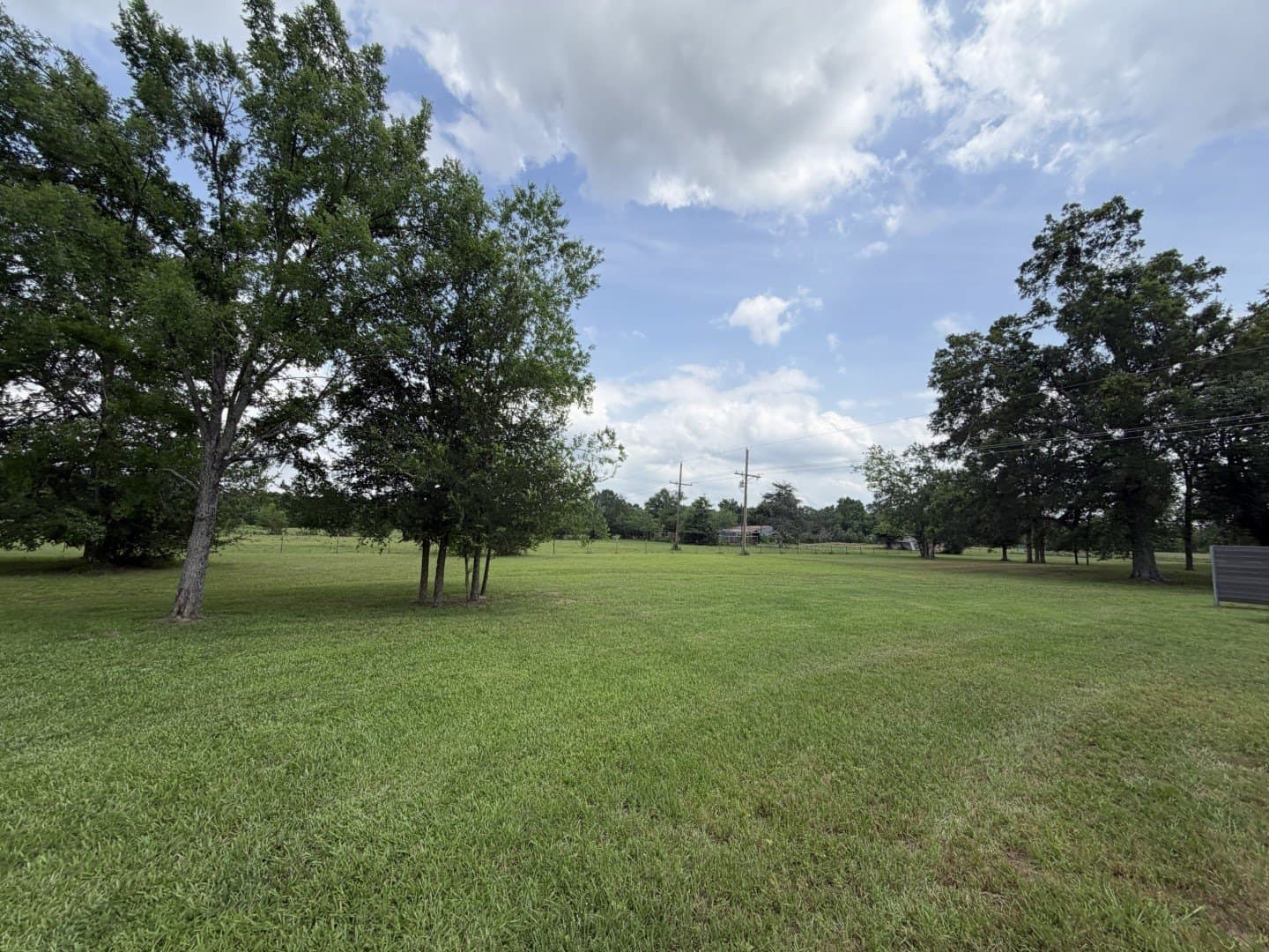 49.02 acres in Titus County - photo 28