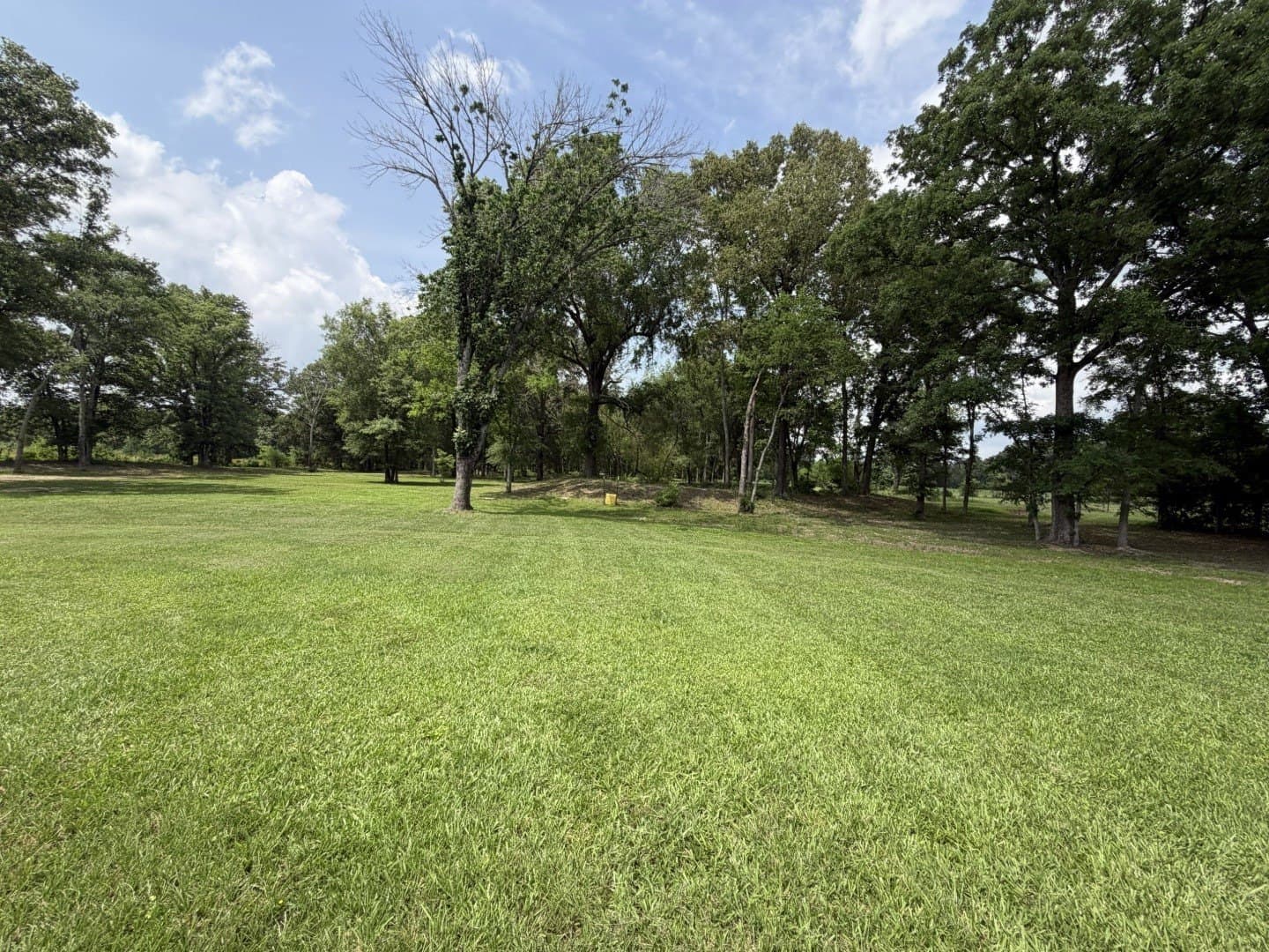 49.02 acres in Titus County - photo 27