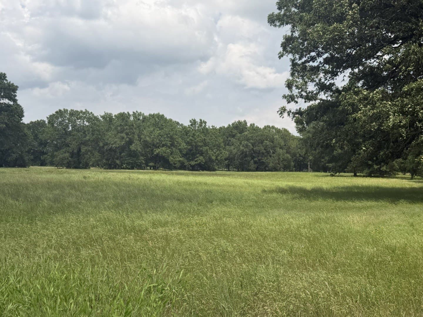 49.02 acres in Titus County - photo 36