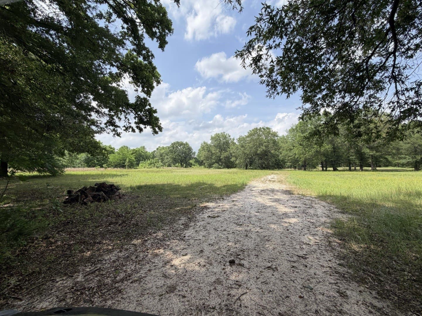 49.02 acres in Titus County - photo 34