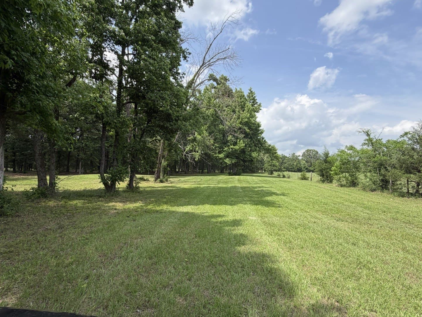 49.02 acres in Titus County - photo 31