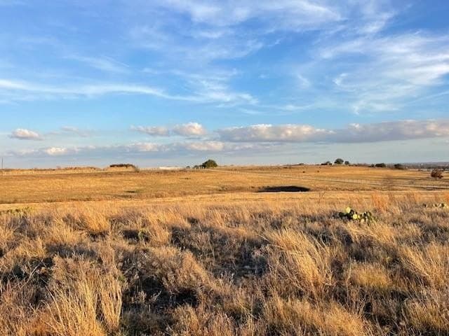 20.2 acres in Erath County gallery image 4