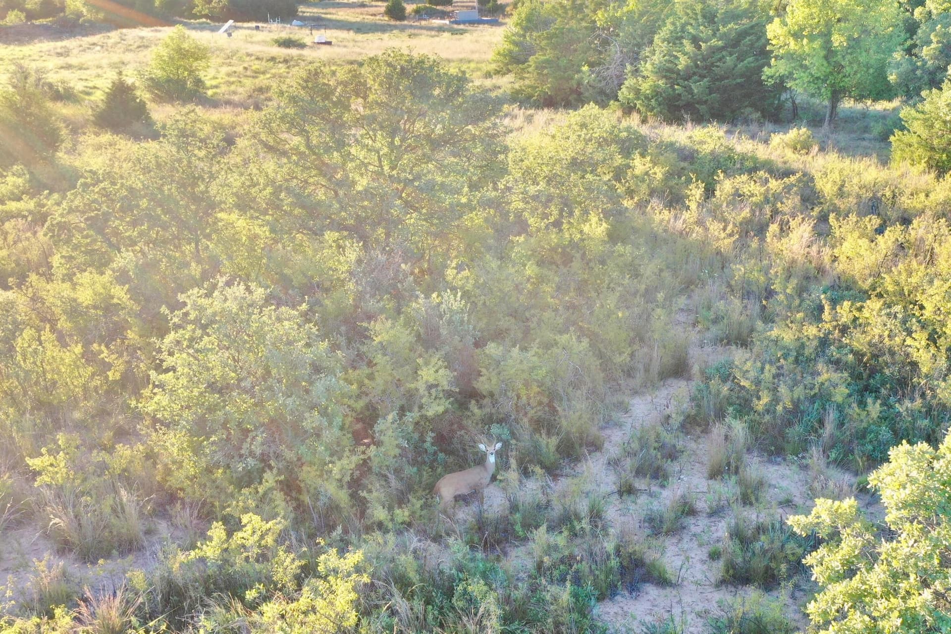 480 acres in Wheeler County gallery image 2