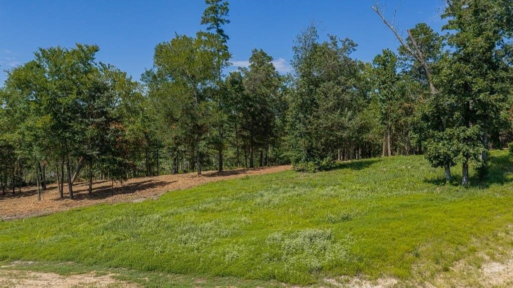 1.06 acres in Harrison County - photo 3