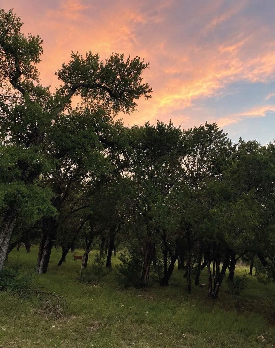 0.28 acres in Burnet County gallery image 2