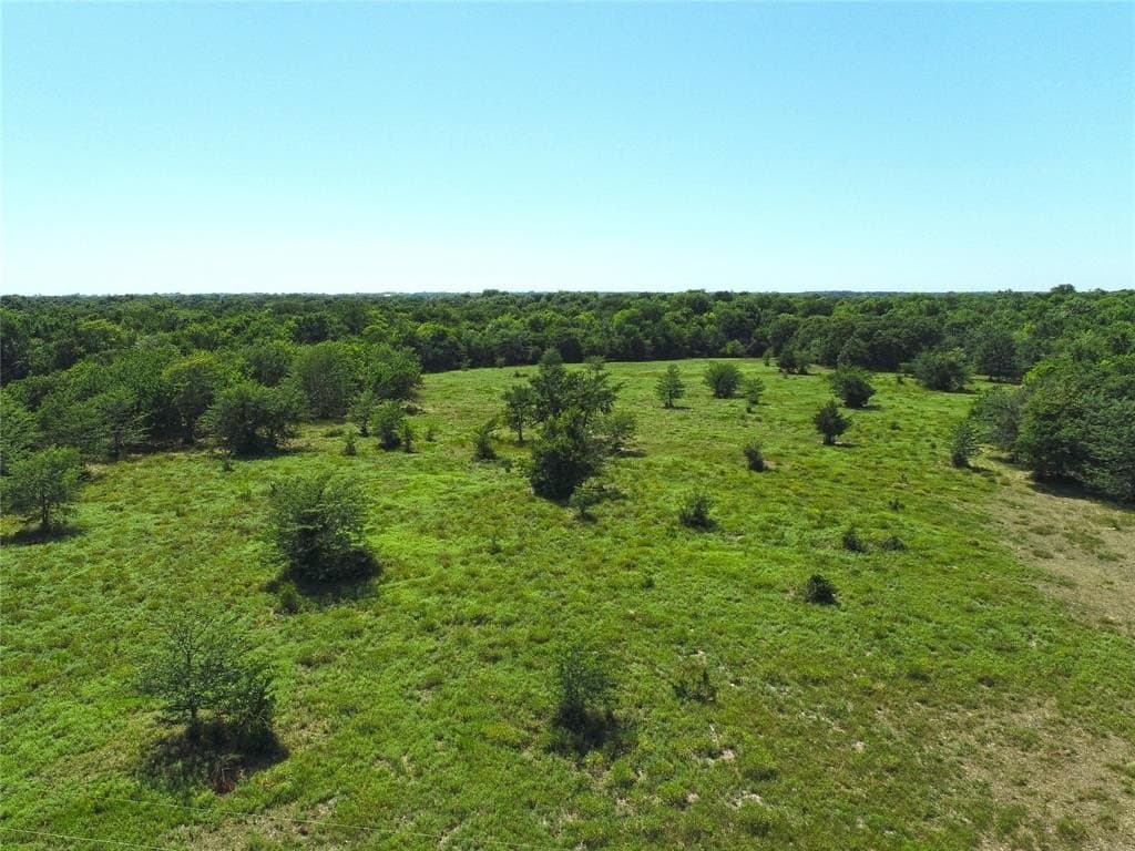 35.13 acres in Fannin County gallery image 4