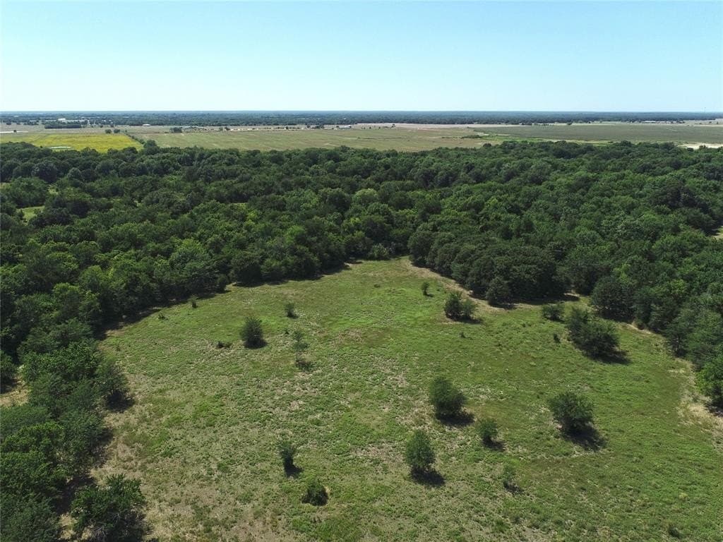 35.13 acres in Fannin County featured view