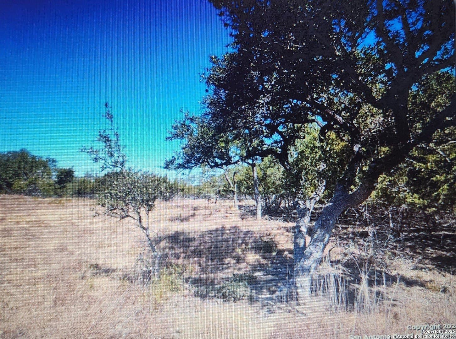 0.33 acres in Blanco County - photo 3