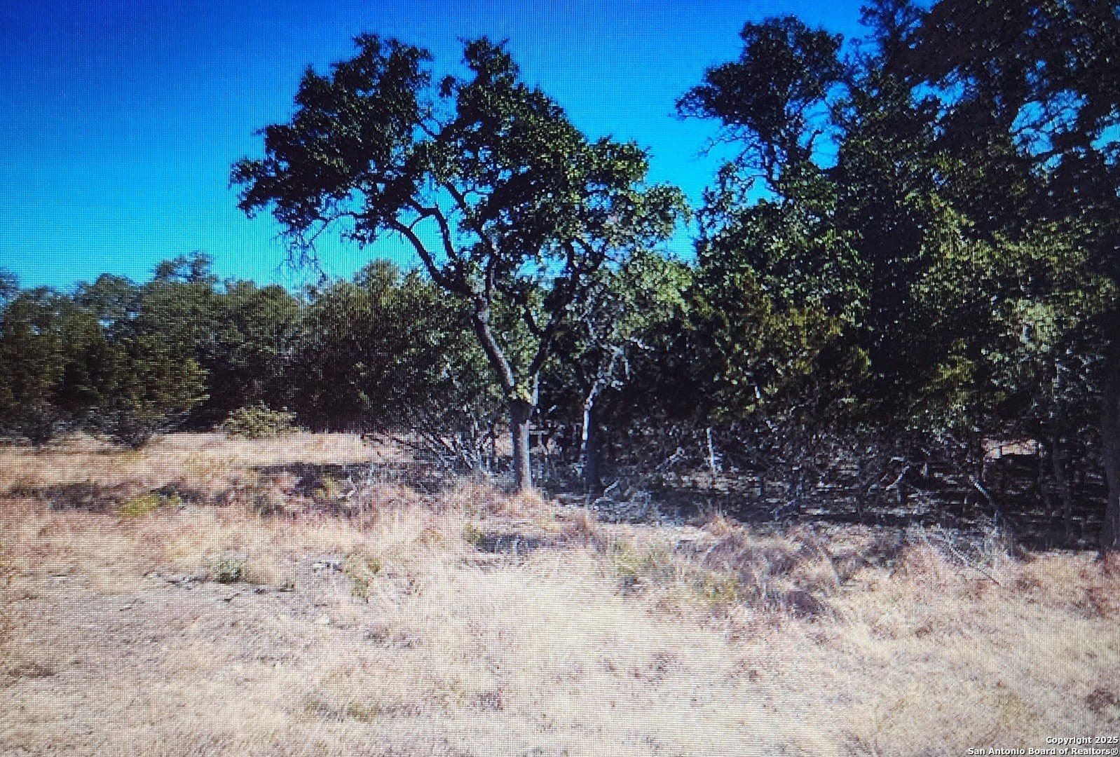 0.33 acres in Blanco County - photo 4