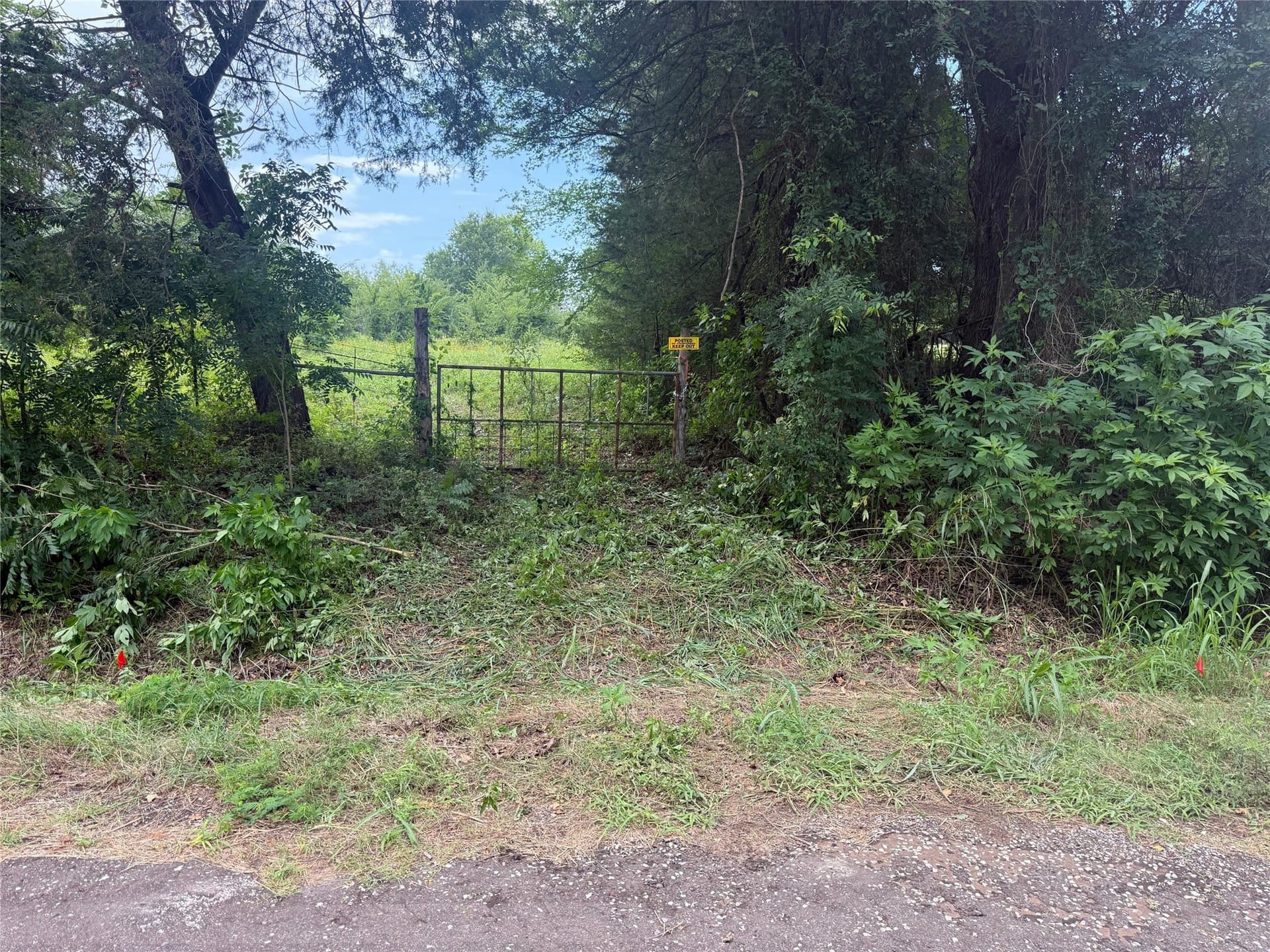 44.16 acres in Freestone County - photo 5
