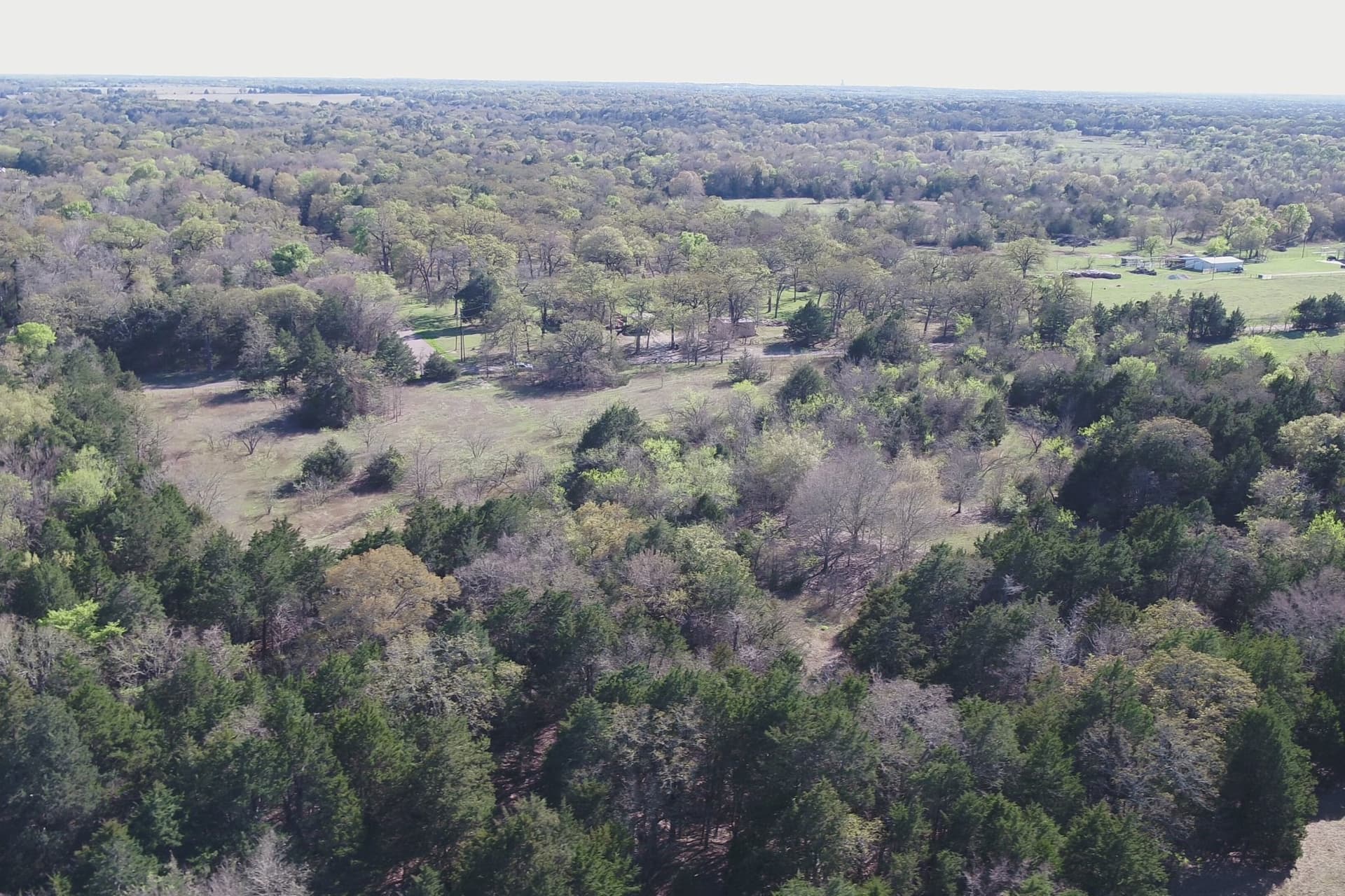 44.16 acres in Freestone County - photo 16