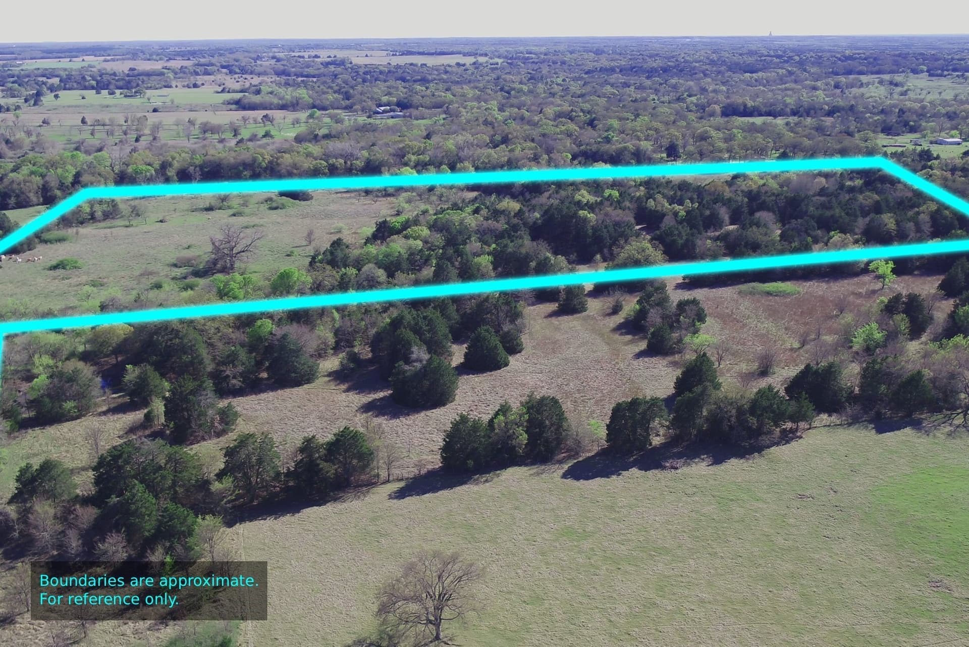 44.16 acres in Freestone County - photo 4