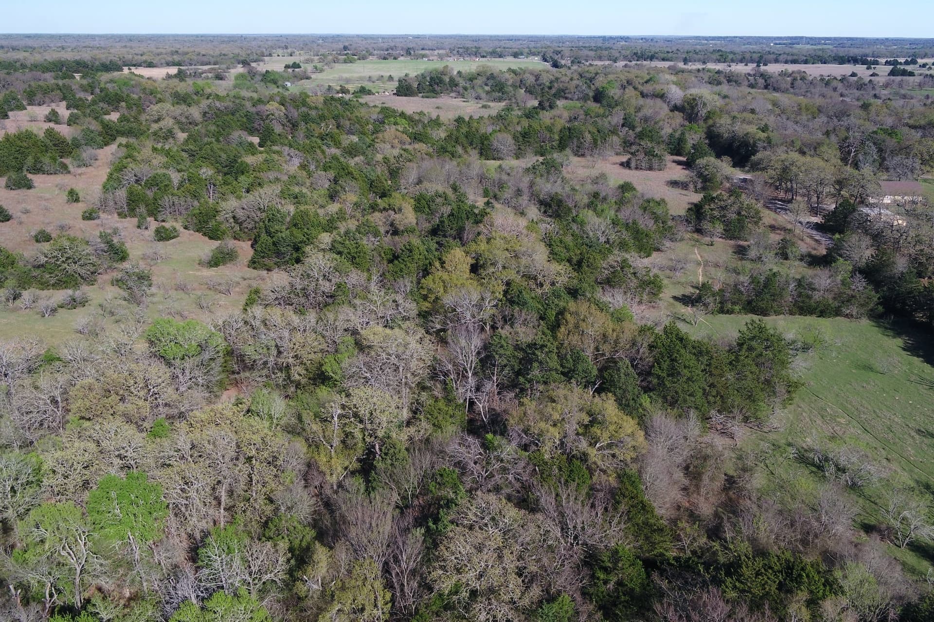 44.16 acres in Freestone County - photo 14