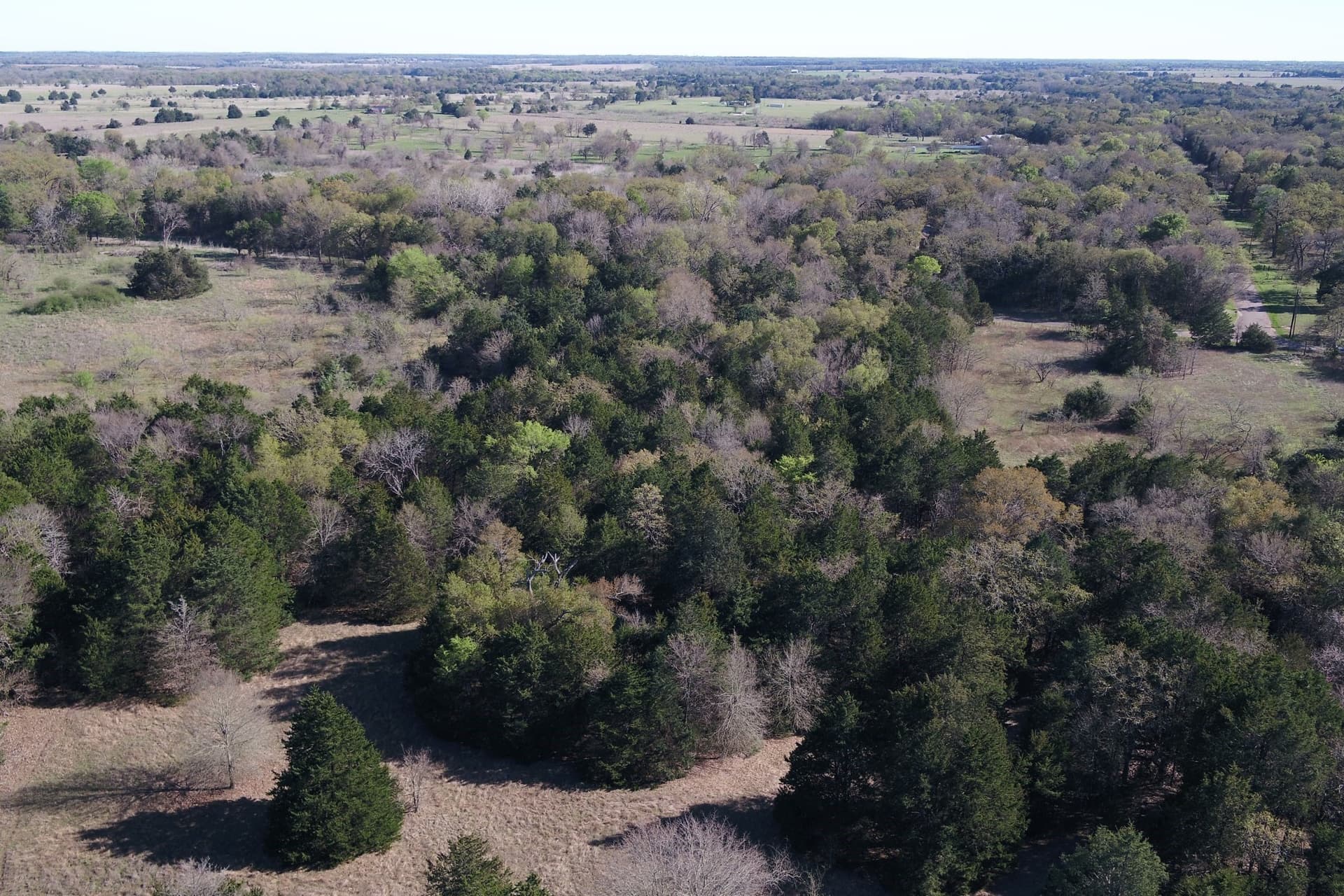 44.16 acres in Freestone County - photo 18