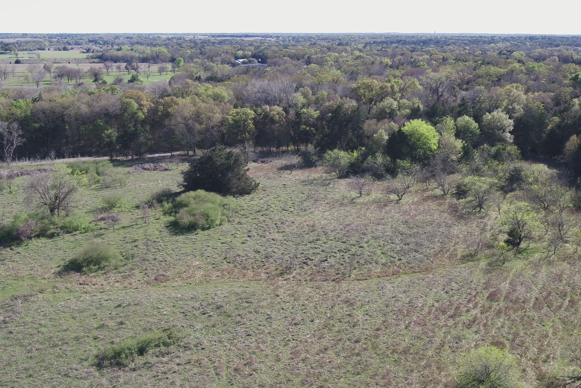 44.16 acres in Freestone County - photo 15