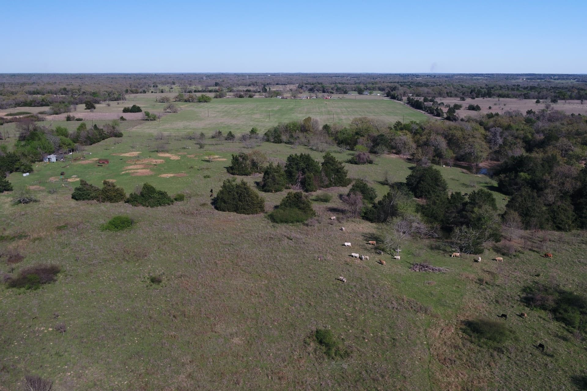 44.16 acres in Freestone County - photo 11