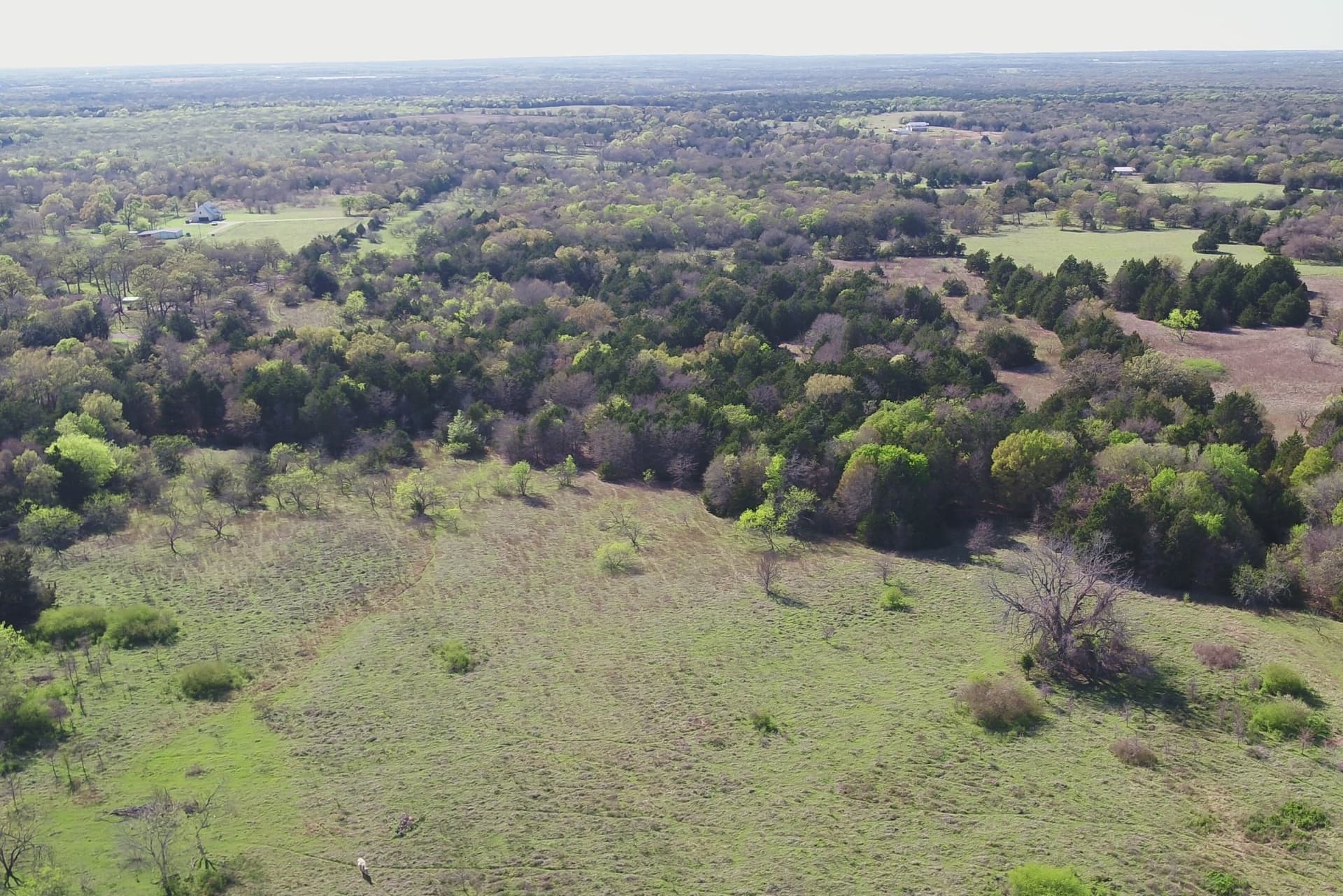 44.16 acres in Freestone County - photo 13